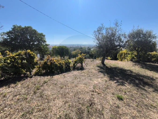 Moradia T3 para Venda em Abrantes (São Vicente e São João) e Alferrarede Foto 27
