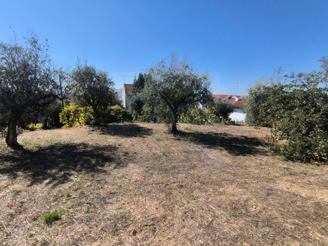 Moradia T3 para Venda em Abrantes (São Vicente e São João) e Alferrarede Foto 28