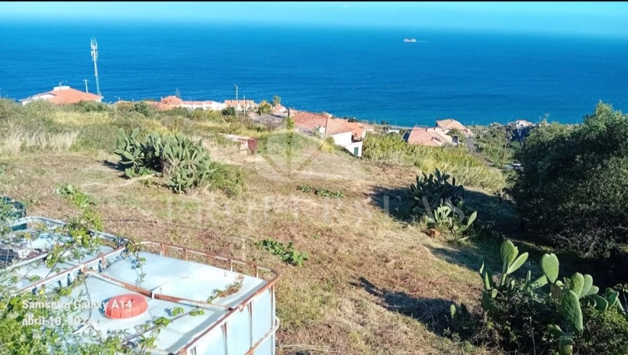 Terreno para Venda em Santa Cruz Foto 1
