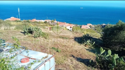 Terreno para Venda em Santa Cruz