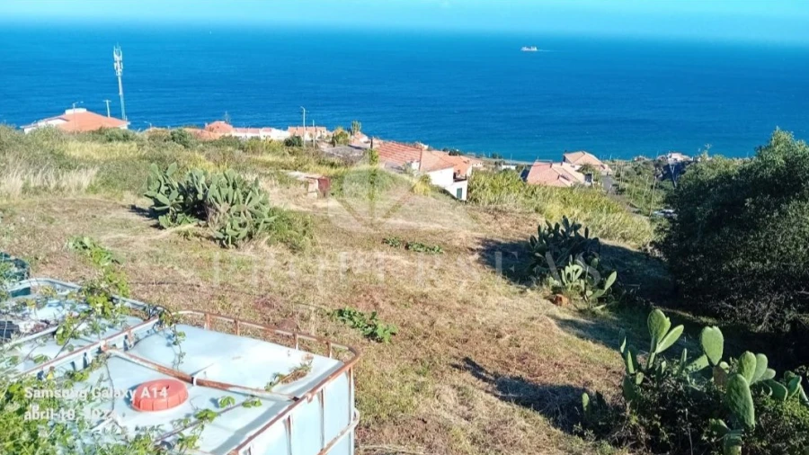 Terreno para Venda em Santa Cruz
