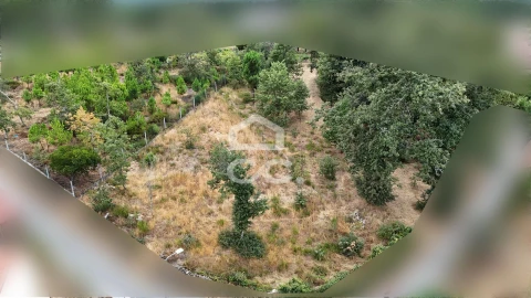 Terreno para Venda em Vale de Anta