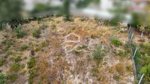Terreno para Venda em Vale de Anta