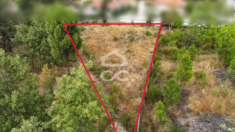 Terreno para Venda em Vale de Anta