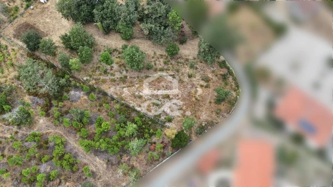 Terreno para Venda em Vale de Anta