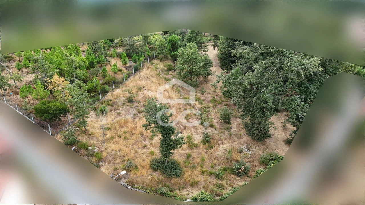 Terreno para Venda em Vale de Anta Foto 15