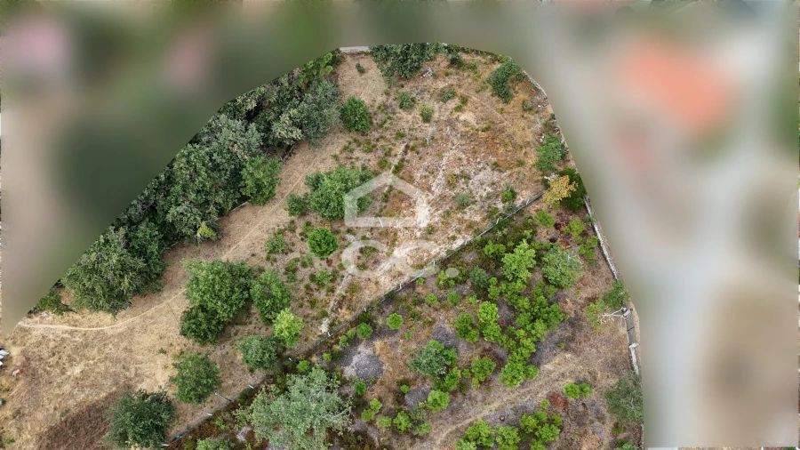 Terreno para Venda em Vale de Anta Foto 7