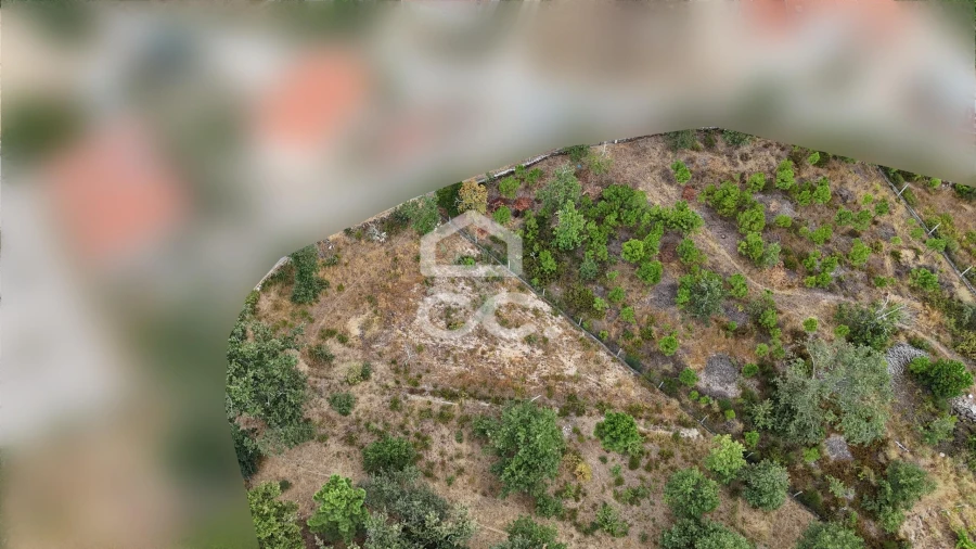 Terreno para Venda em Vale de Anta Foto 13