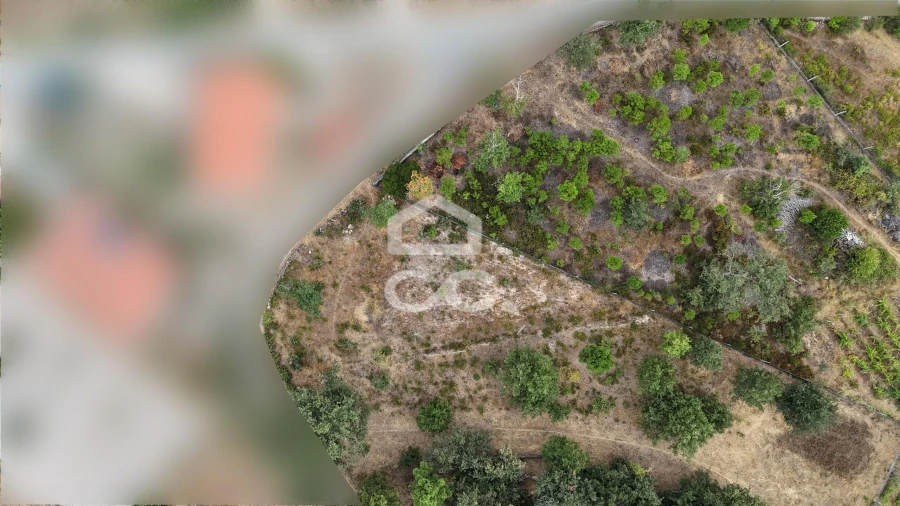Terreno para Venda em Vale de Anta Foto 14