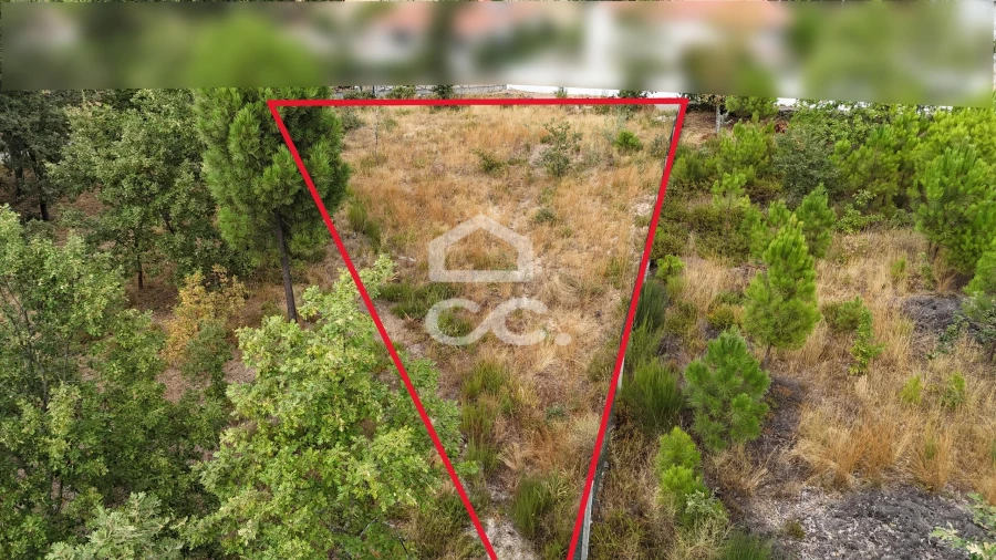 Terreno para Venda em Vale de Anta Foto 3