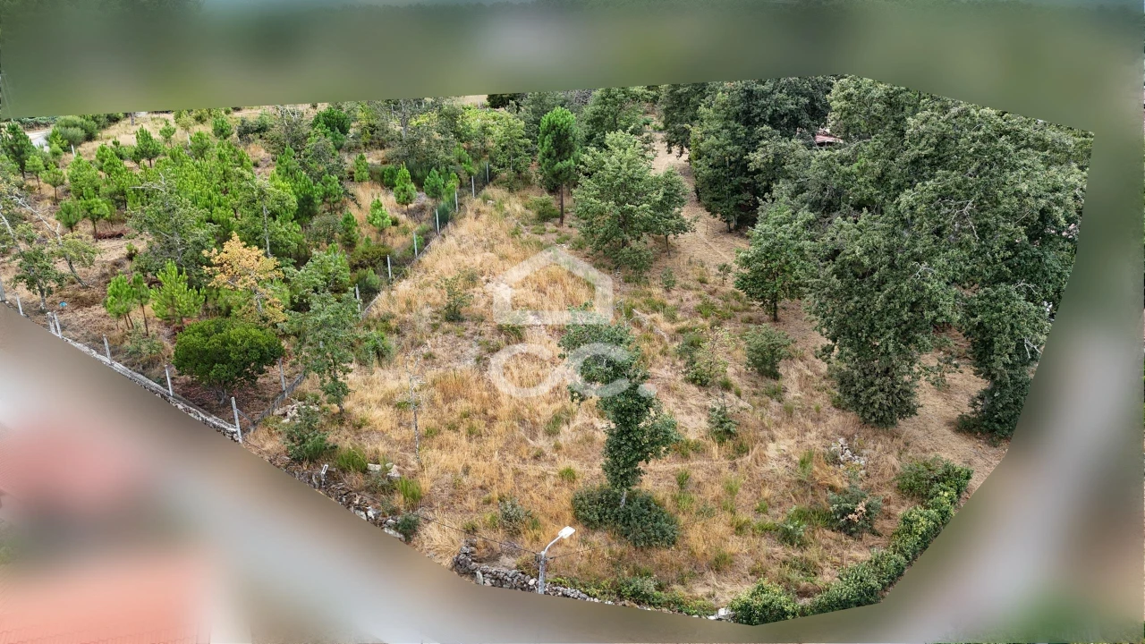 Terreno para Venda em Vale de Anta Foto 10