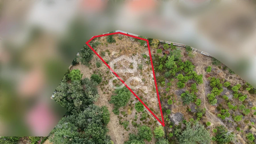 Terreno para Venda em Vale de Anta