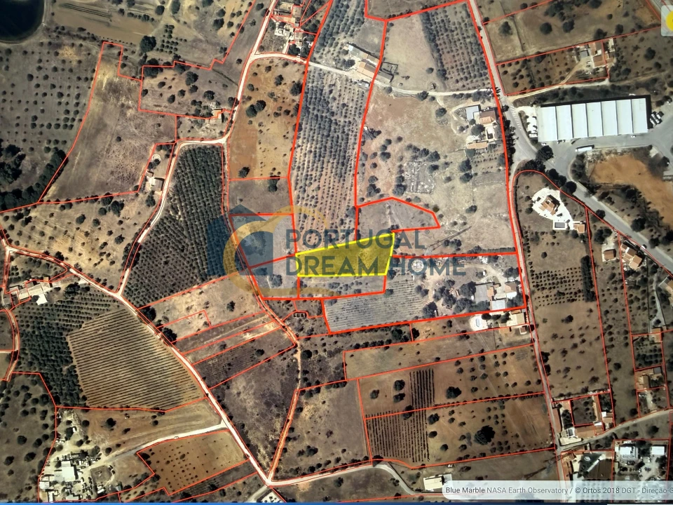 Terreno Agricola ou Rústico para Venda em Silves Foto 5