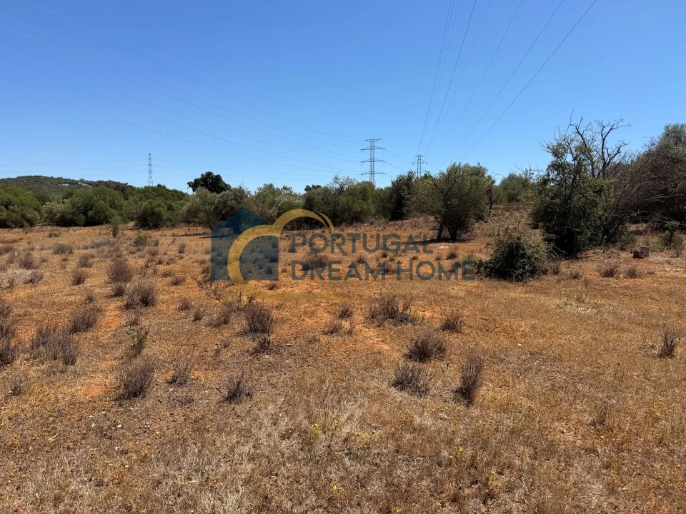 Terreno Agricola ou Rústico para Venda em Silves Foto 7