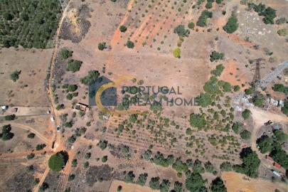 Terreno Agricola ou Rústico para Venda em Silves