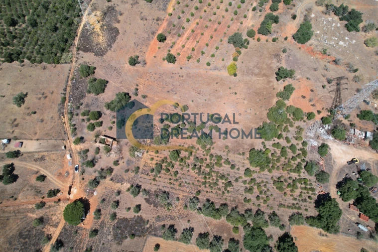 Terreno Agricola ou Rústico para Venda em Silves Foto 4