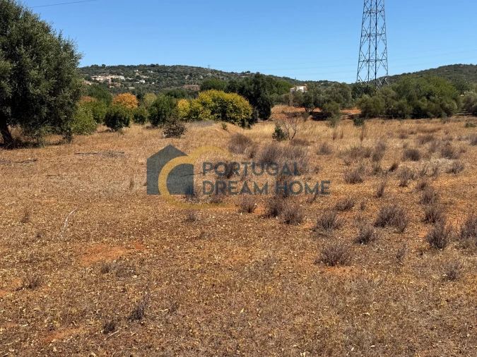 Terreno Agricola ou Rústico para Venda em Silves Foto 8