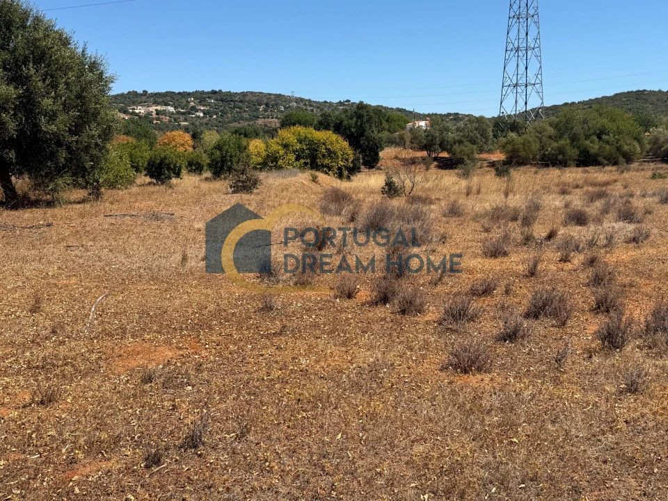 Terreno Agricola ou Rústico para Venda em Silves Foto 8