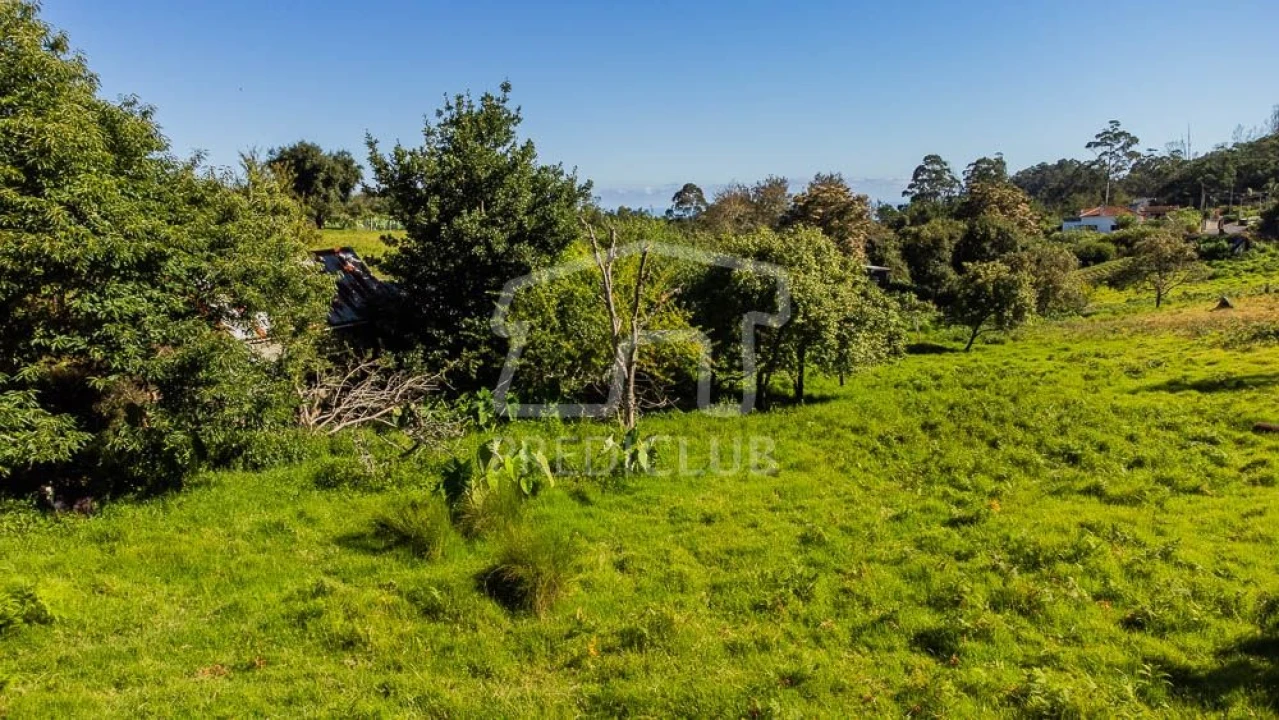 Terreno para Venda em Santana Foto 10
