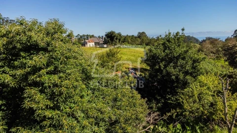Terreno para Venda em Santana