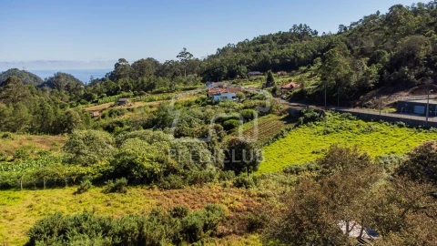 Terreno para Venda em Santana