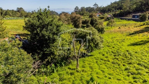 Terreno para Venda em Santana