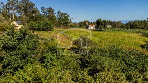 Terreno para Venda em Santana