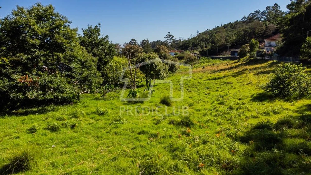 Terreno para Venda em Santana Foto 9