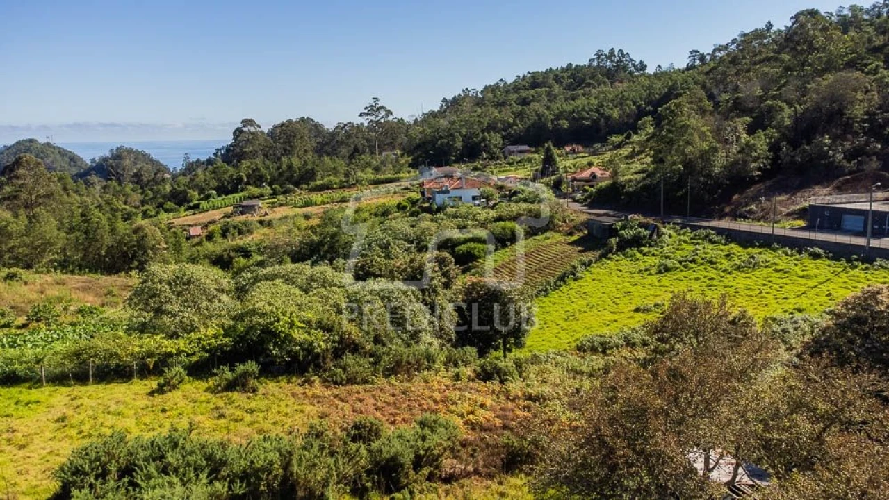 Terreno para Venda em Santana Foto 13