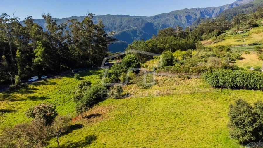 Terreno para Venda em Santana Foto 15