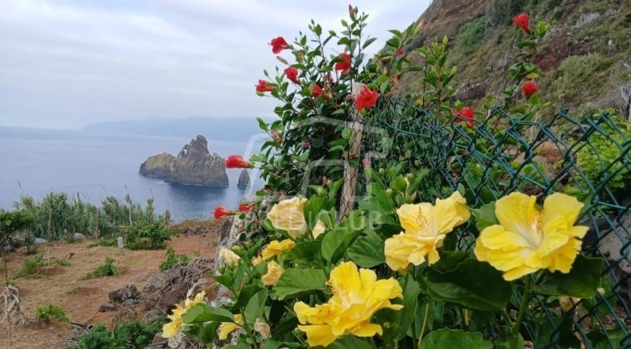 Terreno para Venda em Porto Moniz Foto 25