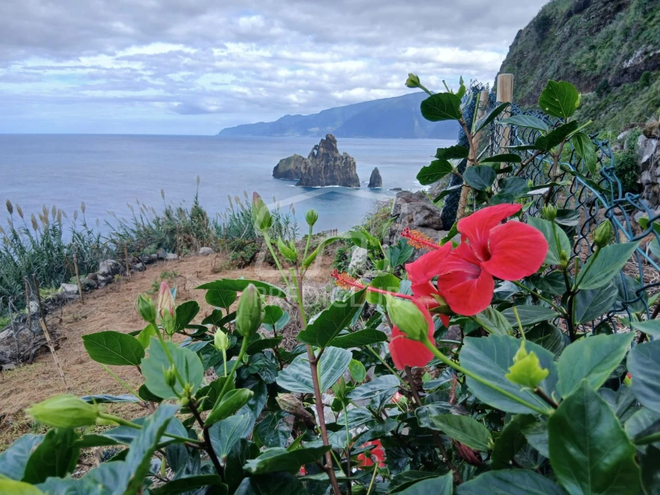 Terreno para Venda em Porto Moniz Foto 26