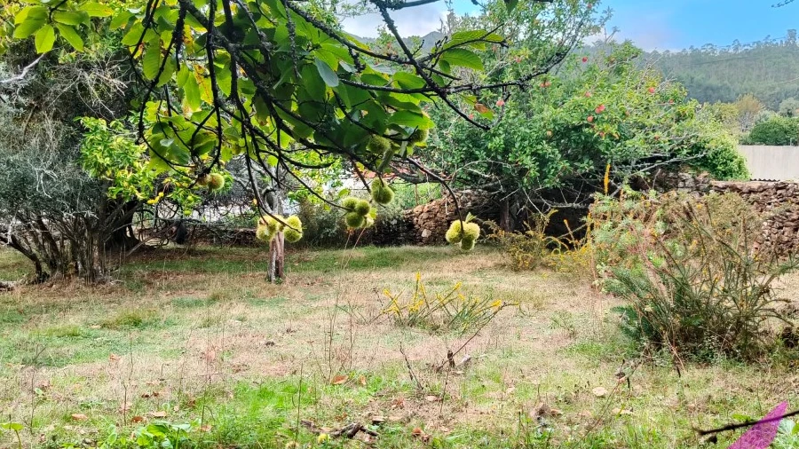 Terreno para Venda em Santa Marta de Portuzelo