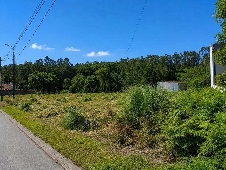 Terreno para Venda em Santa Maria de Lamas Foto 1