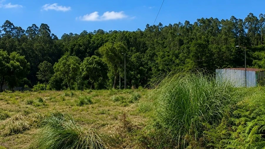 Terreno para Venda em Santa Maria de Lamas