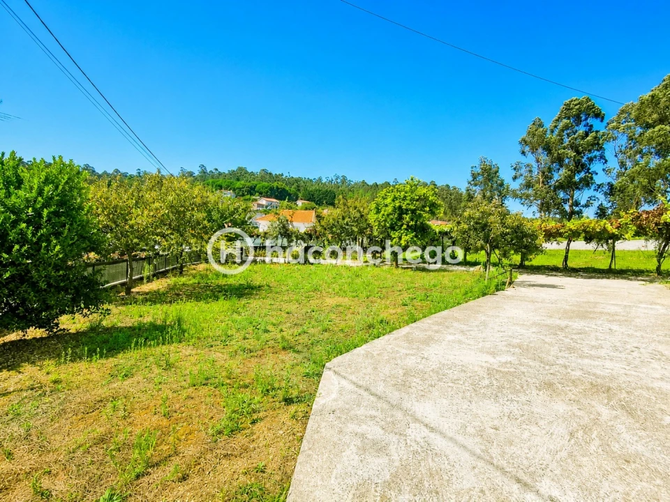 Quinta T3 para Venda em Alheira e Igreja Nova Foto 30