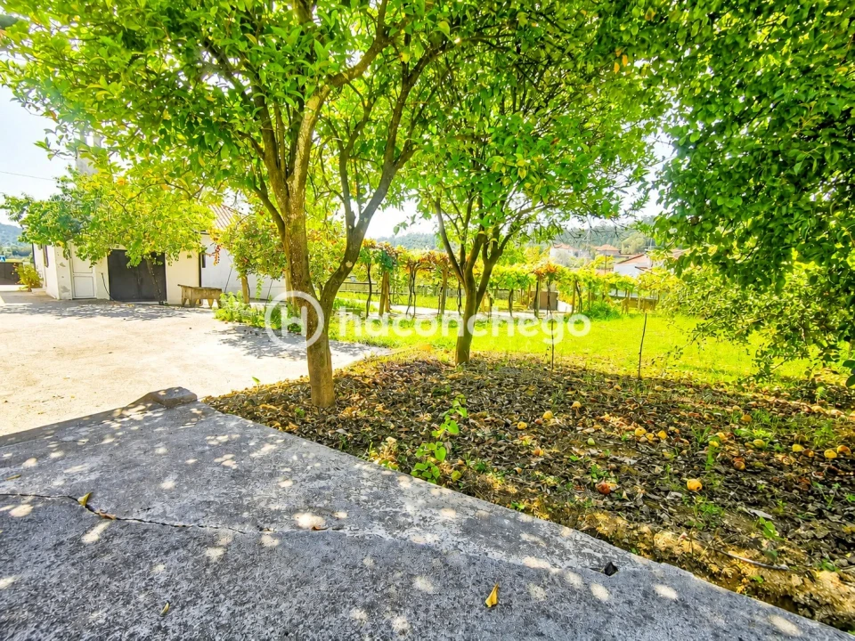 Quinta T3 para Venda em Alheira e Igreja Nova Foto 11