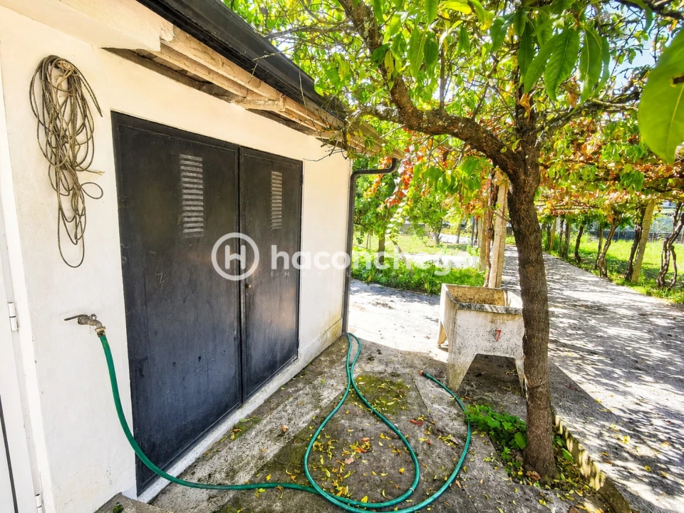 Quinta T3 para Venda em Alheira e Igreja Nova Foto 37