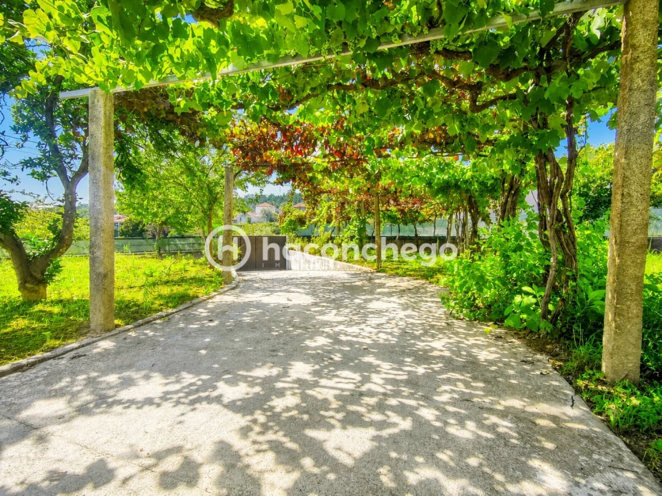 Quinta T3 para Venda em Alheira e Igreja Nova Foto 10