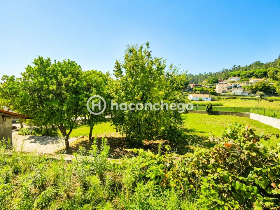 Quinta T3 para Venda em Alheira e Igreja Nova Foto 23