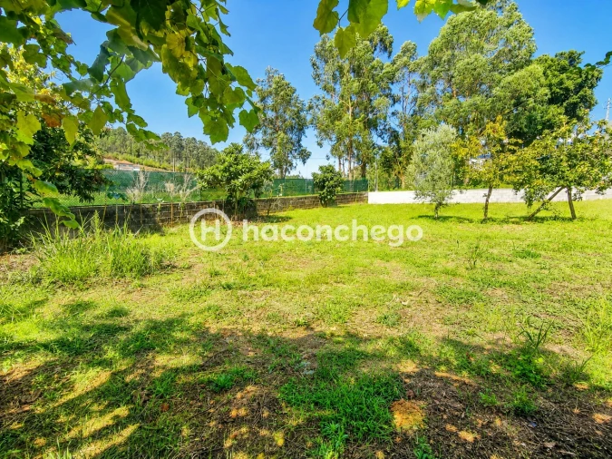 Quinta T3 para Venda em Alheira e Igreja Nova Foto 28