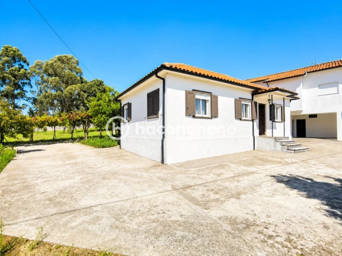 Quinta T3 para Venda em Alheira e Igreja Nova Foto 33
