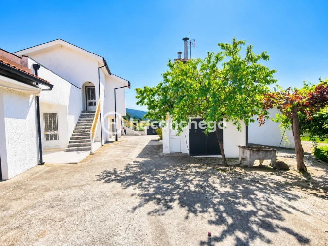 Quinta T3 para Venda em Alheira e Igreja Nova Foto 3