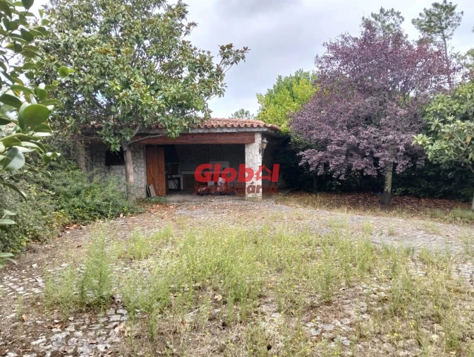 Moradia T4 para Venda em São João de Lourosa Foto 9
