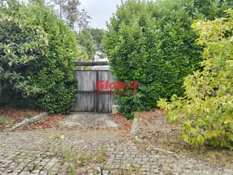 Moradia T4 para Venda em São João de Lourosa Foto 10