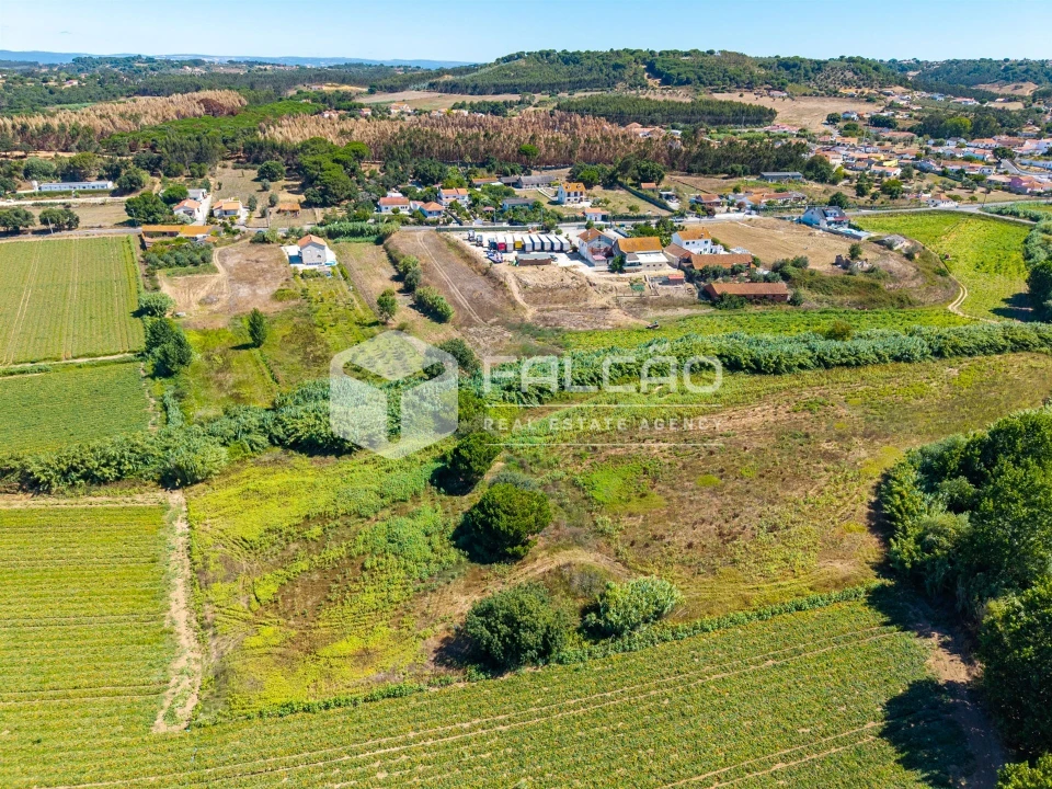 Terreno Agricola ou Rústico para Venda em São João da Ribeira e Ribeira de São João Foto 14