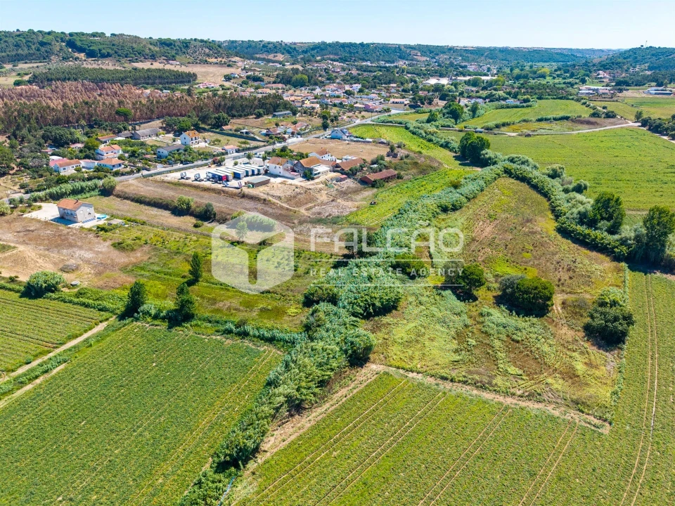 Terreno Agricola ou Rústico para Venda em São João da Ribeira e Ribeira de São João Foto 16