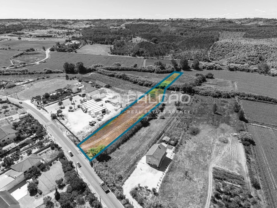 Terreno Agricola ou Rústico para Venda em São João da Ribeira e Ribeira de São João Foto 19