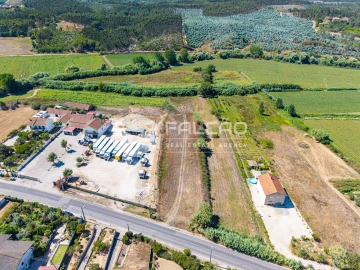 Terreno Agricola ou Rústico para Venda em São João da Ribeira e Ribeira de São João