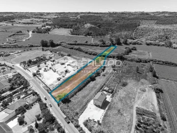 Terreno Agricola ou Rústico para Venda em São João da Ribeira e Ribeira de São João